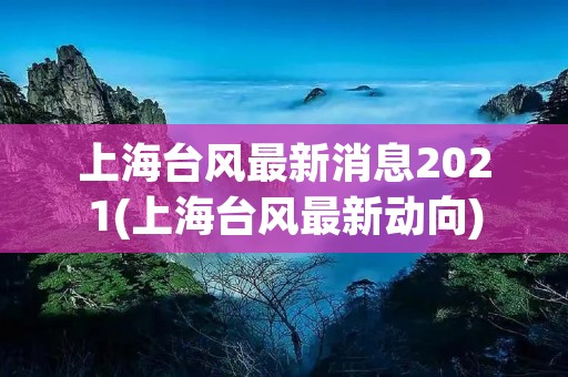 上海台风最新消息2021(上海台风最新动向) 上海台风最新消息2021(上海台风最新动向)