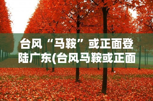 台风“马鞍”或正面登陆广东(台风马鞍或正面登陆广东)