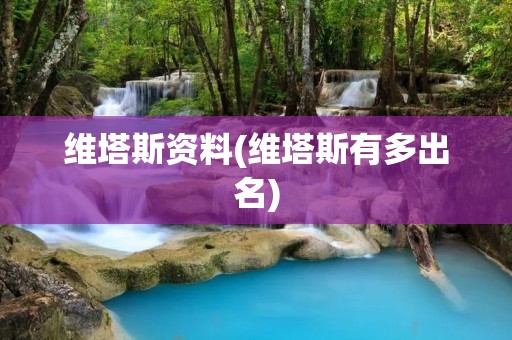 维塔斯资料(维塔斯有多出名)