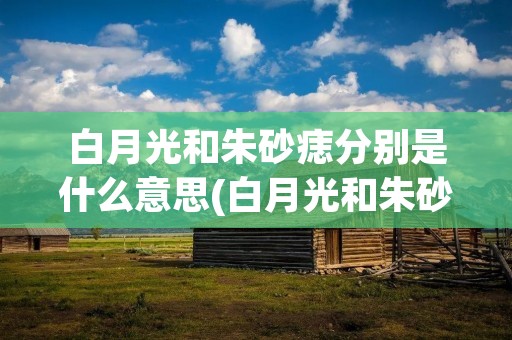 白月光和朱砂痣分别是什么意思(白月光和朱砂痣是啥意思啊)