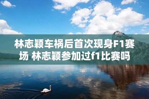 林志颖车祸后首次现身F1赛场 林志颖参加过f1比赛吗