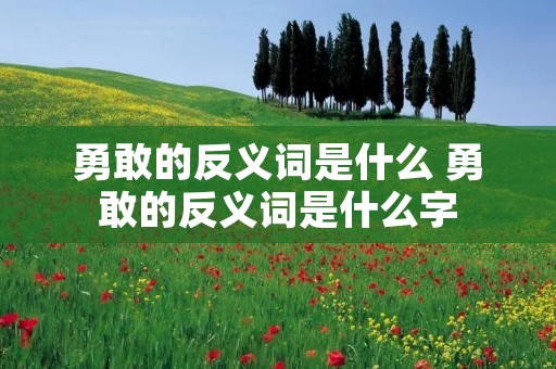 勇敢的反义词是什么 勇敢的反义词是什么字