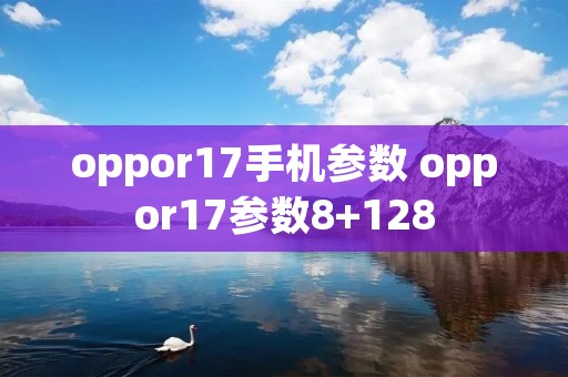 oppor17手机参数 oppor17参数8+128