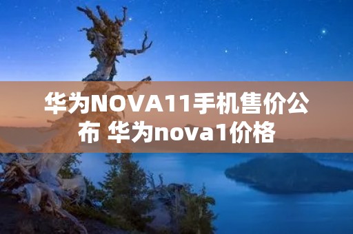 华为NOVA11手机售价公布 华为nova1价格