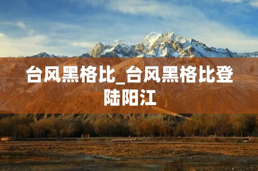 台风黑格比_台风黑格比登陆阳江