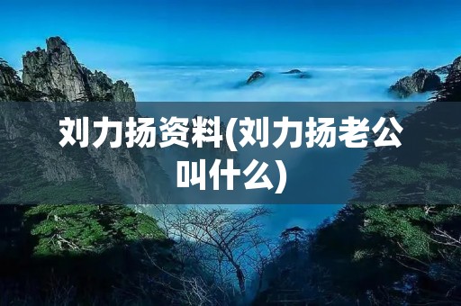 刘力扬资料(刘力扬老公叫什么)