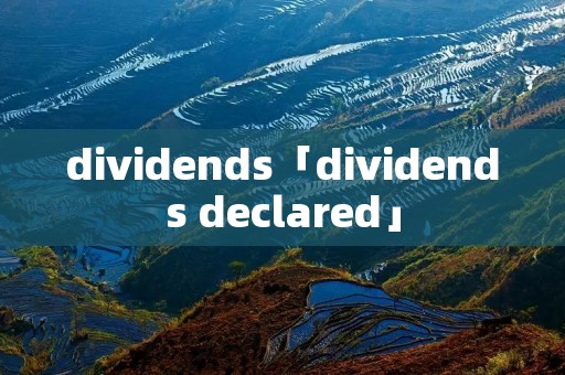 dividends「dividends declared」