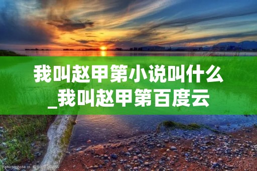 我叫赵甲第小说叫什么_我叫赵甲第百度云