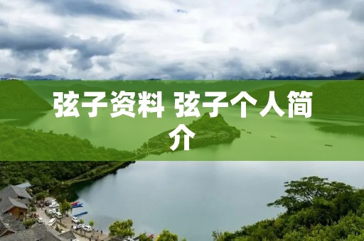 弦子资料 弦子个人简介