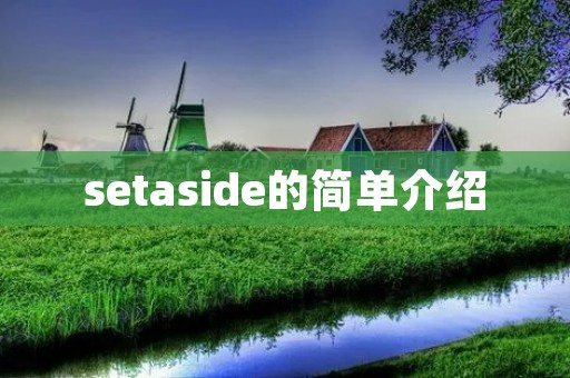 setaside的简单介绍