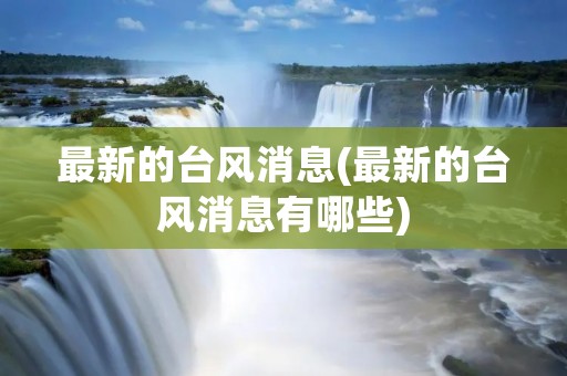 最新的台风消息(最新的台风消息有哪些)