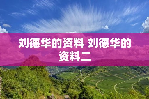 刘德华的资料 刘德华的资料二
