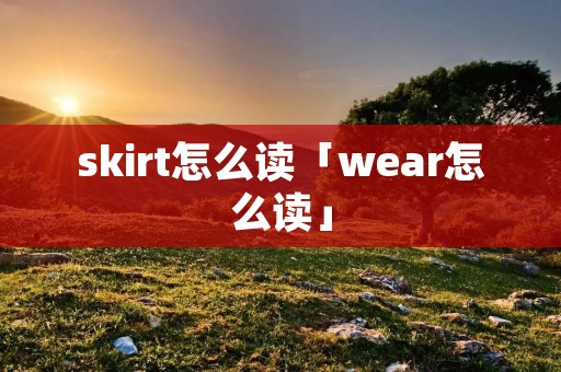 skirt怎么读「wear怎么读」