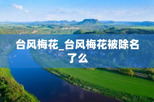 台风梅花_台风梅花被除名了么