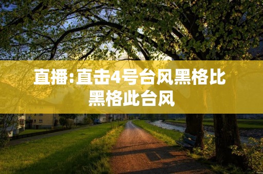 直播:直击4号台风黑格比 黑格此台风