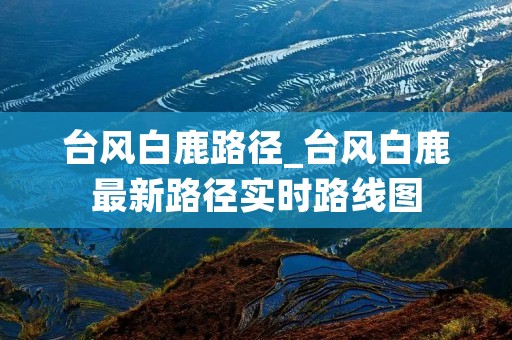 台风白鹿路径_台风白鹿最新路径实时路线图 台风白鹿路径_台风白鹿最新路径实时路线图