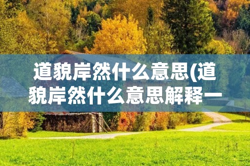 道貌岸然什么意思(道貌岸然什么意思解释一下) 道貌岸然什么意思(道貌岸然什么意思解释一下)