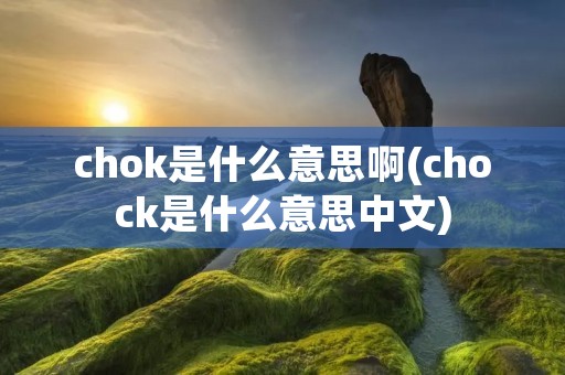 chok是什么意思啊(chock是什么意思中文) chok是什么意思啊(chock是什么意思中文)