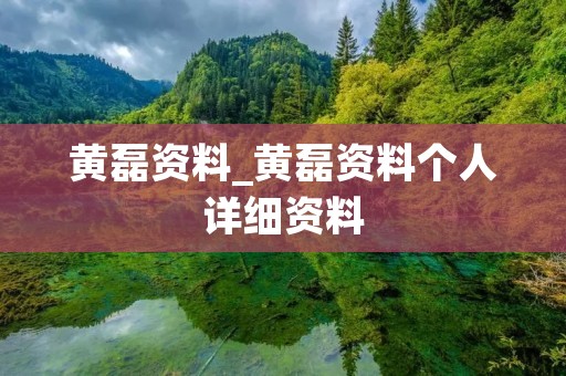 黄磊资料_黄磊资料个人详细资料