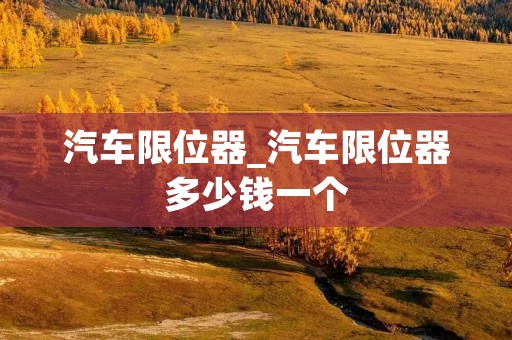 汽车限位器_汽车限位器多少钱一个