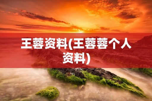 王蓉资料(王蓉蓉个人资料)