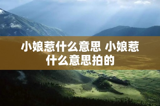 小娘惹什么意思 小娘惹什么意思拍的