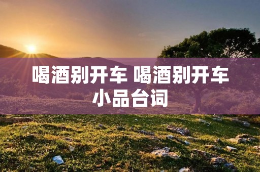 喝酒别开车 喝酒别开车小品台词