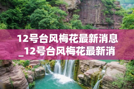 12号台风梅花最新消息_12号台风梅花最新消息台风路径