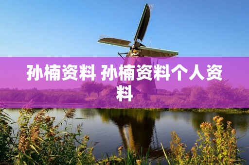 孙楠资料 孙楠资料个人资料