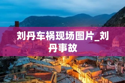 刘丹车祸现场图片_刘丹事故