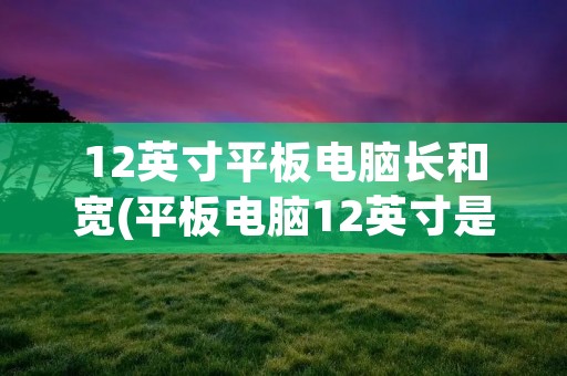 12英寸平板电脑长和宽(平板电脑12英寸是多少厘米)
