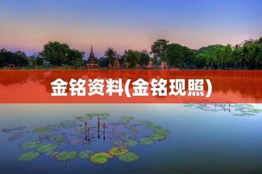 金铭资料(金铭现照)