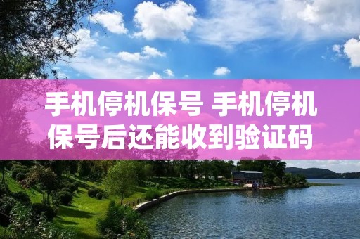 手机停机保号 手机停机保号后还能收到验证码吗