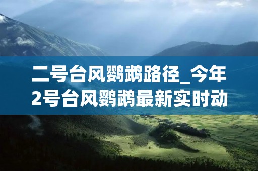 二号台风鹦鹉路径_今年2号台风鹦鹉最新实时动态图