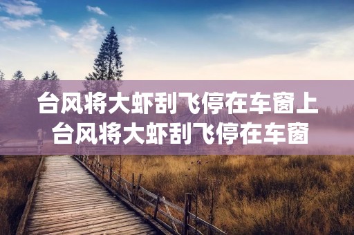 台风将大虾刮飞停在车窗上 台风将大虾刮飞停在车窗上_