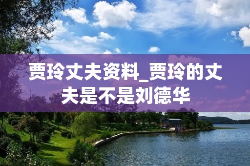 贾玲丈夫资料_贾玲的丈夫是不是刘德华