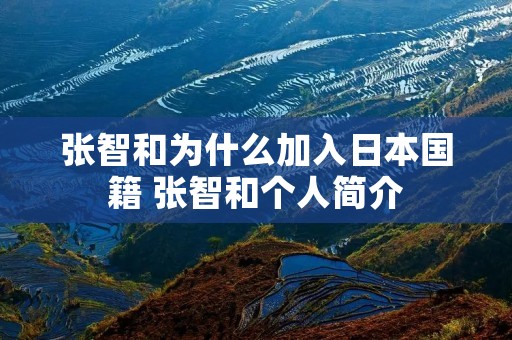 张智和为什么加入日本国籍 张智和个人简介