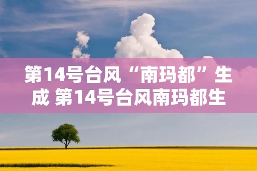 第14号台风“南玛都”生成 第14号台风南玛都生成一