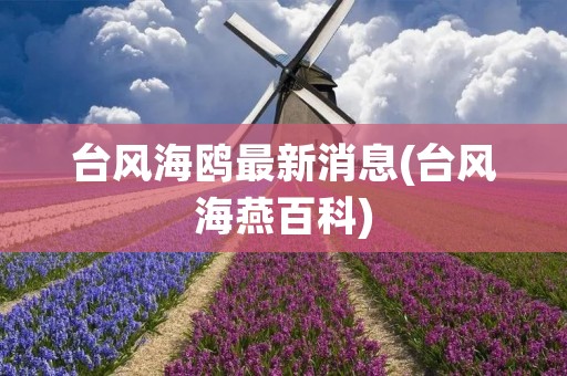 台风海鸥最新消息(台风海燕百科)