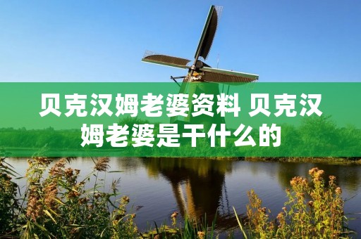 贝克汉姆老婆资料 贝克汉姆老婆是干什么的