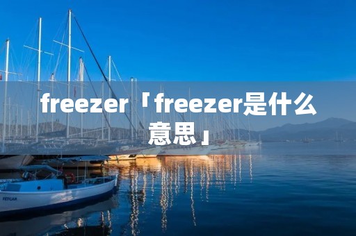 freezer「freezer是什么意思」