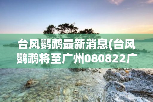 台风鹦鹉最新消息(台风鹦鹉将至广州080822广州电视新闻) 台风鹦鹉最新消息(台风鹦鹉将至广州080822广州电视新闻)