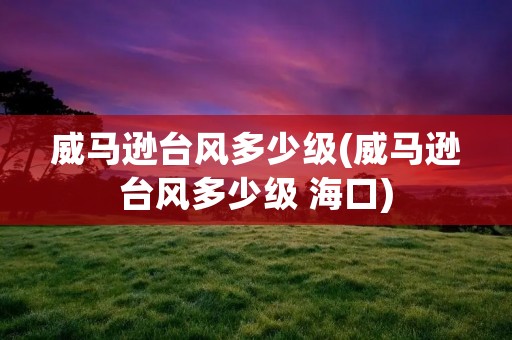 威马逊台风多少级(威马逊台风多少级 海口)