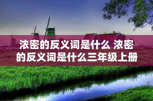 浓密的反义词是什么 浓密的反义词是什么三年级上册