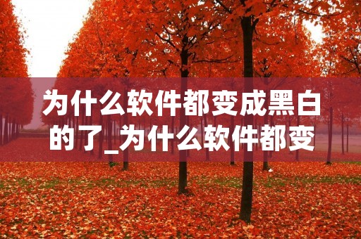 为什么软件都变成黑白的了_为什么软件都变成黑白的了2022年