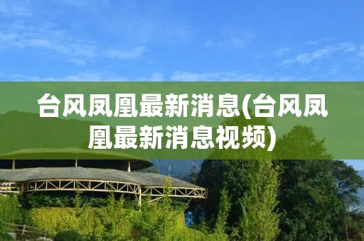 台风凤凰最新消息(台风凤凰最新消息视频)