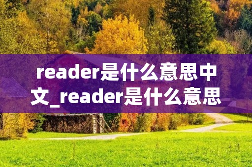 reader是什么意思中文_reader是什么意思英语翻译 reader是什么意思中文_reader是什么意思英语翻译