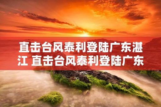 直击台风泰利登陆广东湛江 直击台风泰利登陆广东湛江0 直击台风泰利登陆广东湛江 直击台风泰利登陆广东湛江0