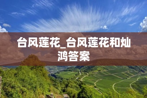 台风莲花_台风莲花和灿鸿答案