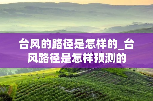 台风的路径是怎样的_台风路径是怎样预测的
